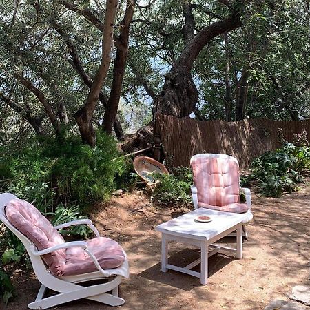 Bayacas Mountain House Surrounded By Nature מראה חיצוני תמונה