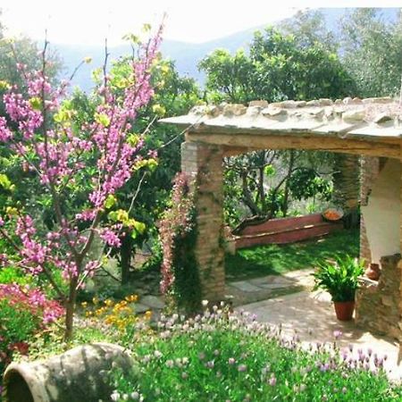 Bayacas Mountain House Surrounded By Nature מראה חיצוני תמונה