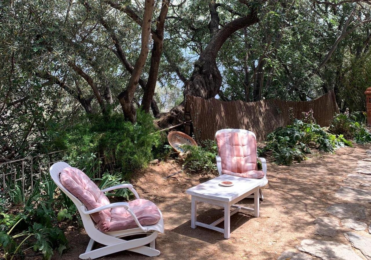 Bayacas Mountain House Surrounded By Nature מראה חיצוני תמונה