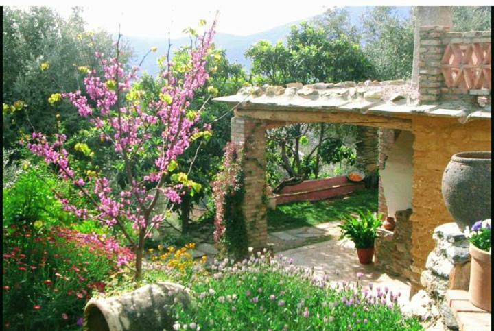 Bayacas Mountain House Surrounded By Nature מראה חיצוני תמונה
